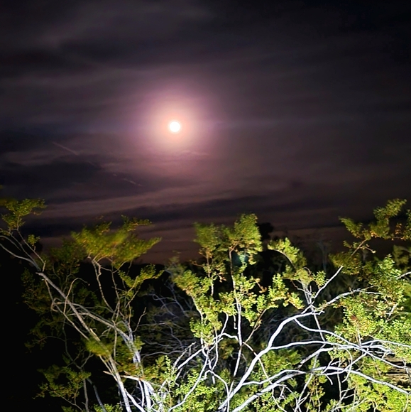 MAKE AN OFFER - Picture 6 of 12